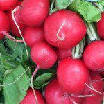 farmers-market-chelsea-michigan_radishes