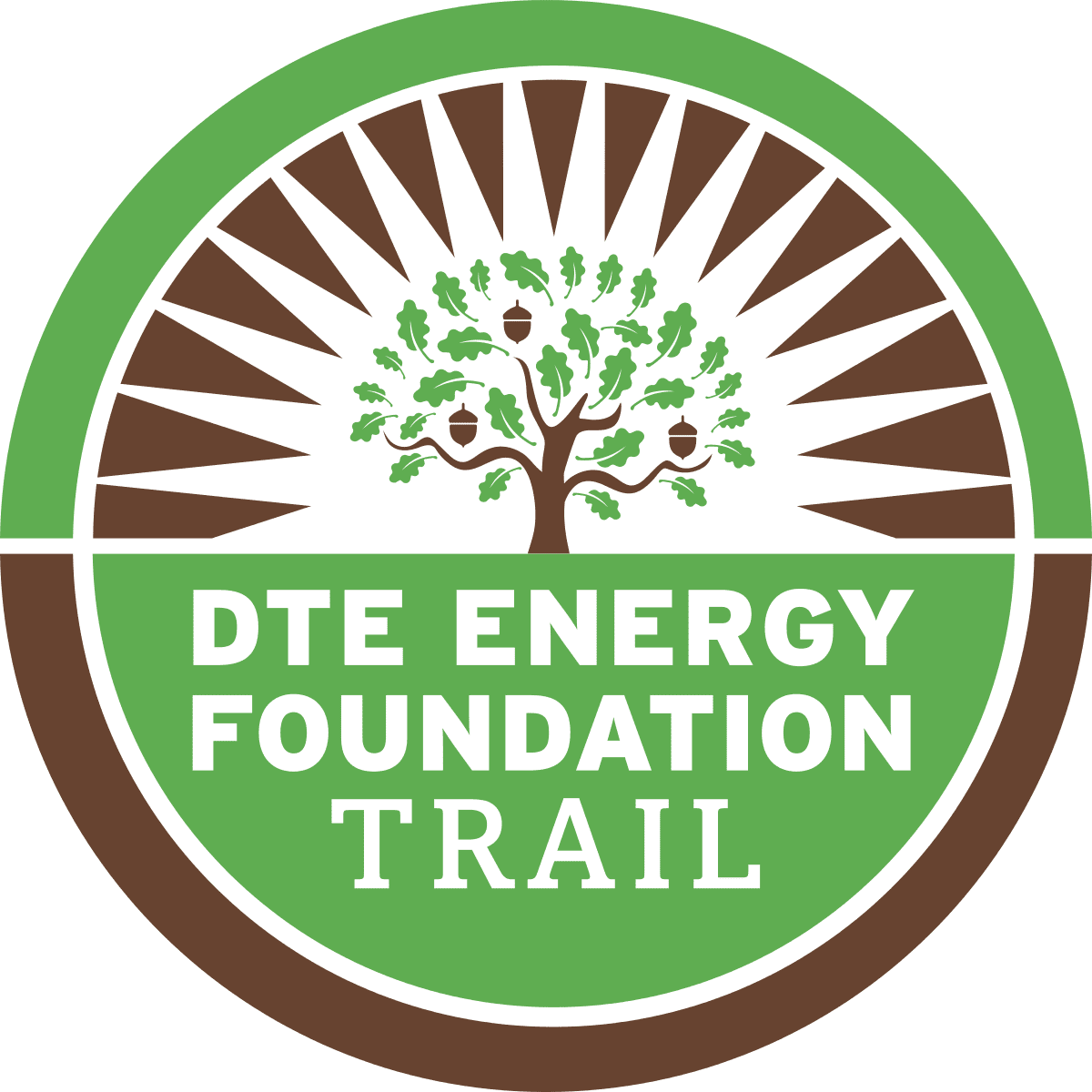 Dte energy online phone number